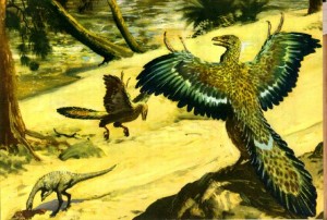 Archeopteryx